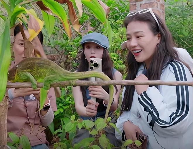 点”的李沁惊艳整个人面相变了惊鸿一瞥CQ9电子有限公司一档综艺被“一脸斑(图8) 点”的李沁惊艳整个人面相变了惊鸿一瞥CQ9电子有限公司一档综艺被“一脸斑(图8)